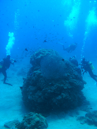 b0062363_7175937.jpg