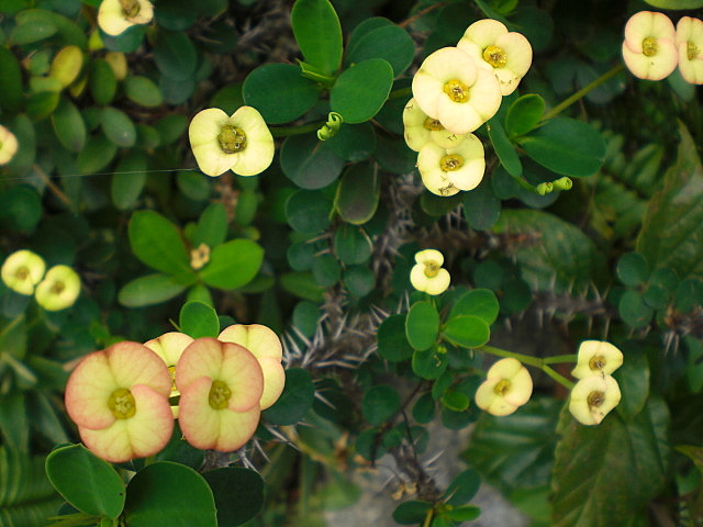 b0149867_2259064.jpg