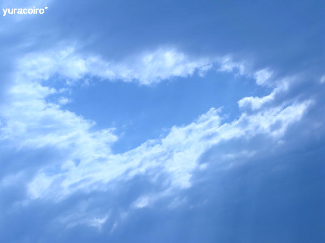 b0140877_1416525.jpg