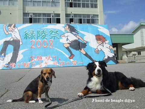 f0150377_21354072.jpg