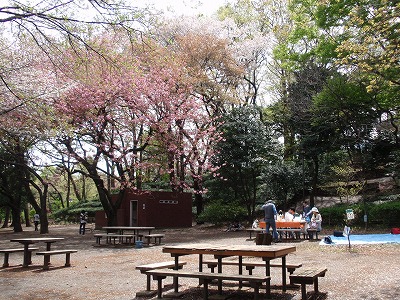 c0105785_12231295.jpg