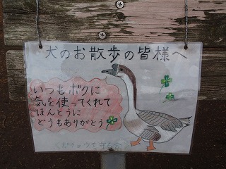 c0105785_12385210.jpg