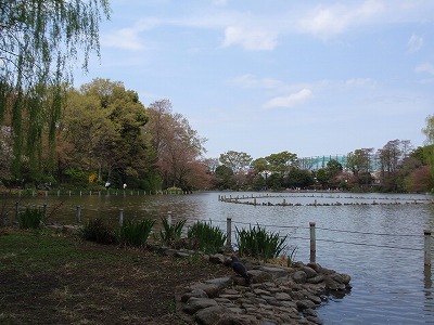 c0105785_12471128.jpg