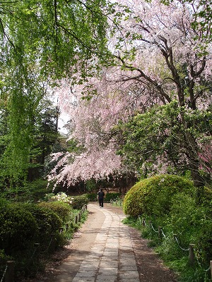 c0105785_1251592.jpg