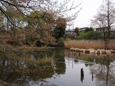 c0105785_12583263.jpg
