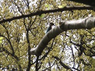 c0105785_128427.jpg
