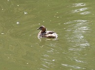 c0105785_1285072.jpg