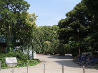 c0105785_9324858.jpg