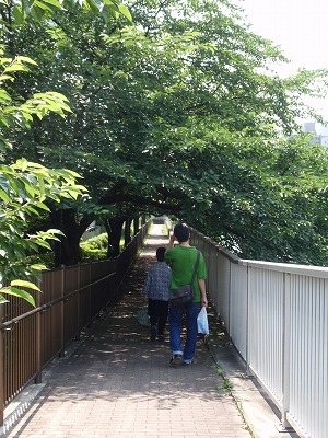 c0105785_9471220.jpg