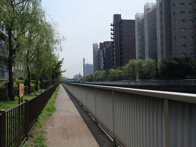 c0105785_9553933.jpg