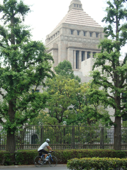 e0141290_8392433.jpg