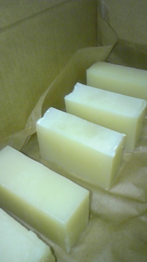 b0144492_8171856.jpg