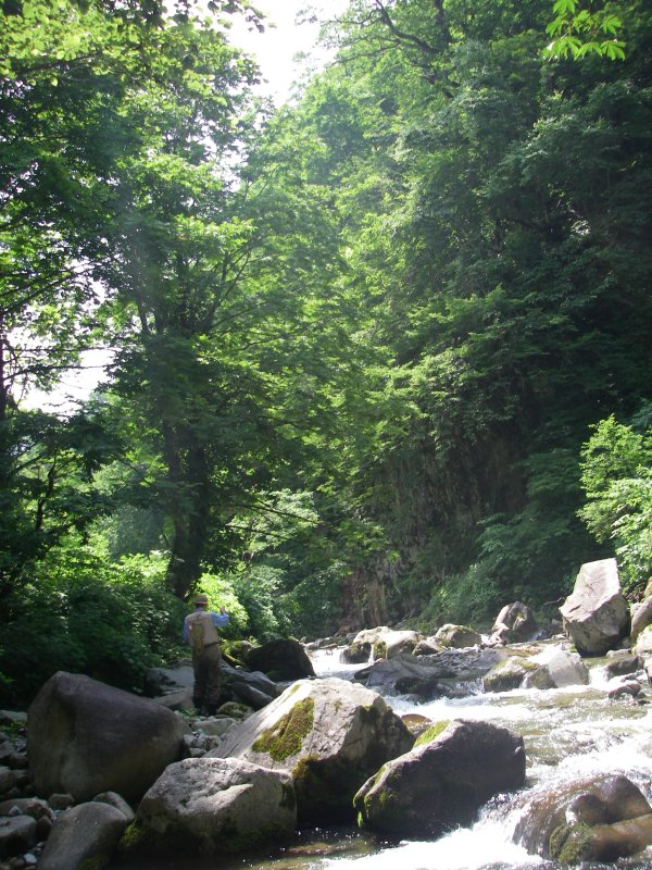 f0129994_13202233.jpg
