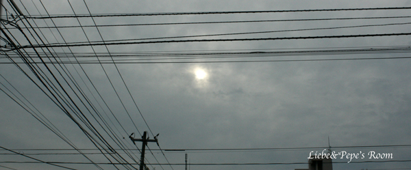 f0001895_16274714.jpg