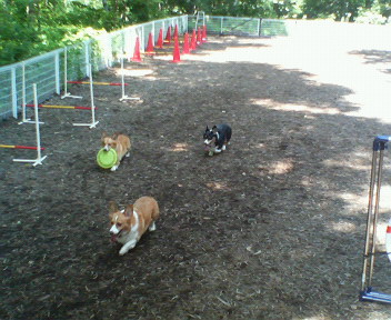 f0077097_11483044.jpg