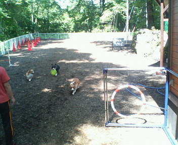 f0077097_11484781.jpg