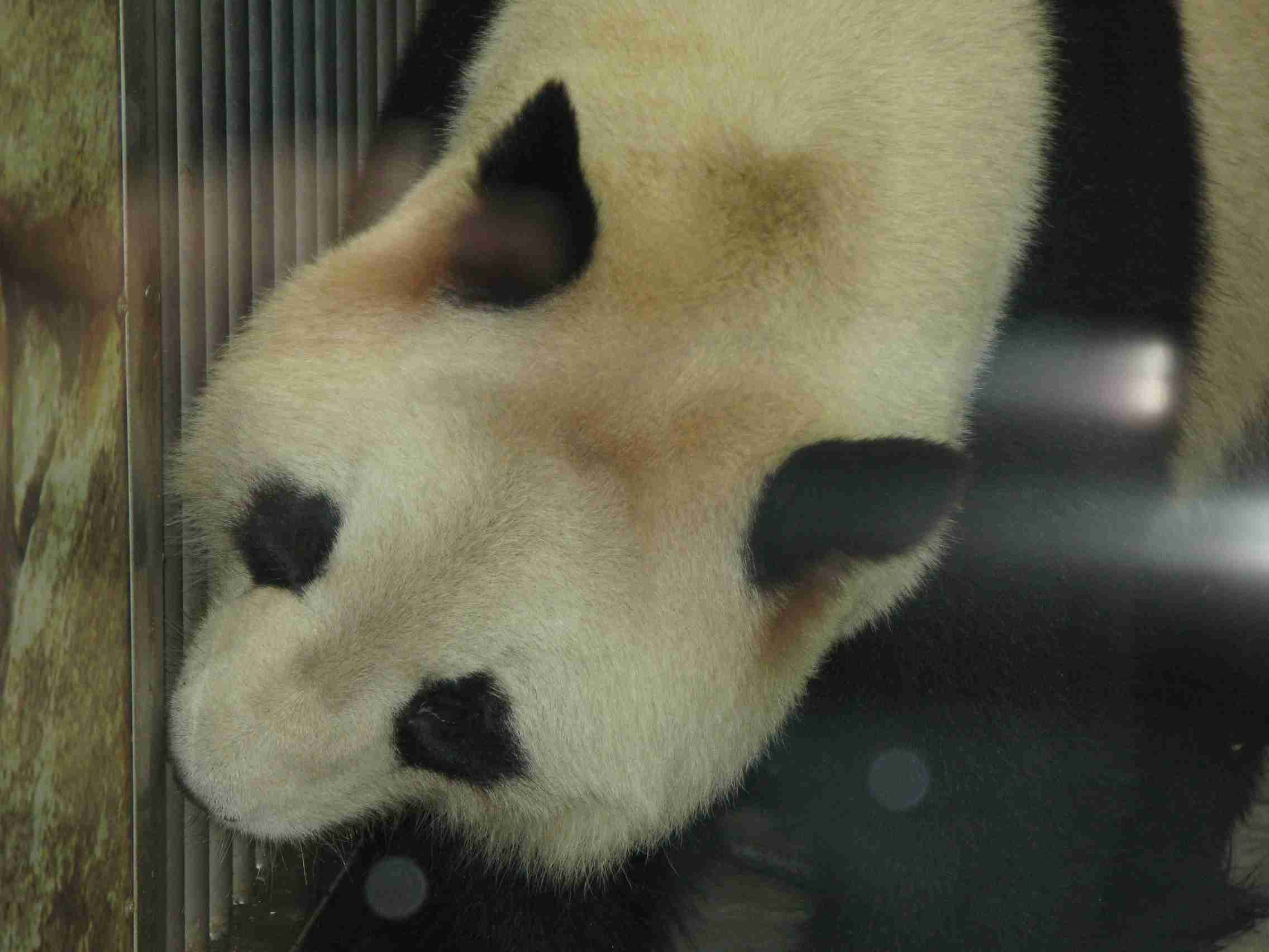 f0129897_5304510.jpg
