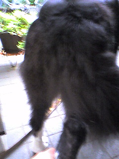 a0065800_0353777.jpg