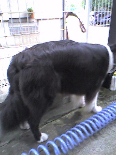 a0065800_0362348.jpg