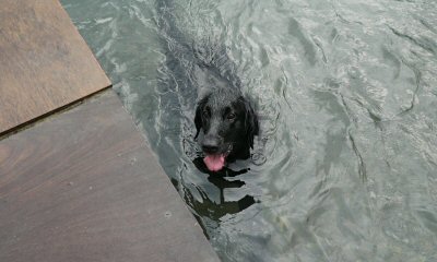 c0050400_11101231.jpg