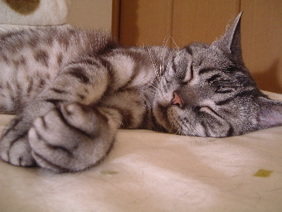 a0079803_281842.jpg