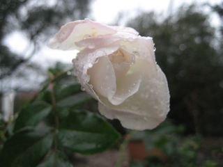 b0142203_22263923.jpg