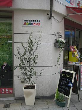 e0137705_1932246.jpg