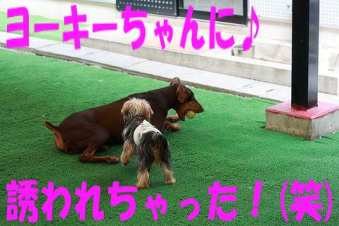 e0100007_2184837.jpg