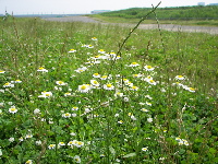 f0086008_11285750.jpg