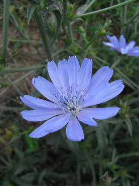 e0046112_25747.jpg