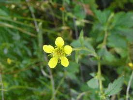 e0046112_303977.jpg
