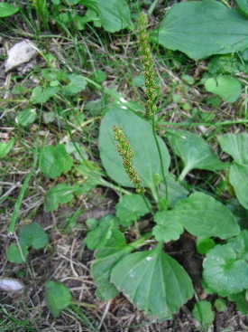 e0046112_35078.jpg