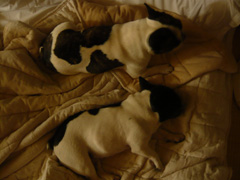 c0144016_1185291.jpg