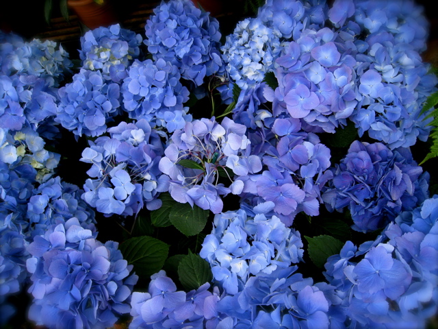 c0120817_11404762.jpg