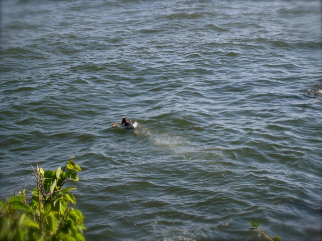 c0120817_1185527.jpg