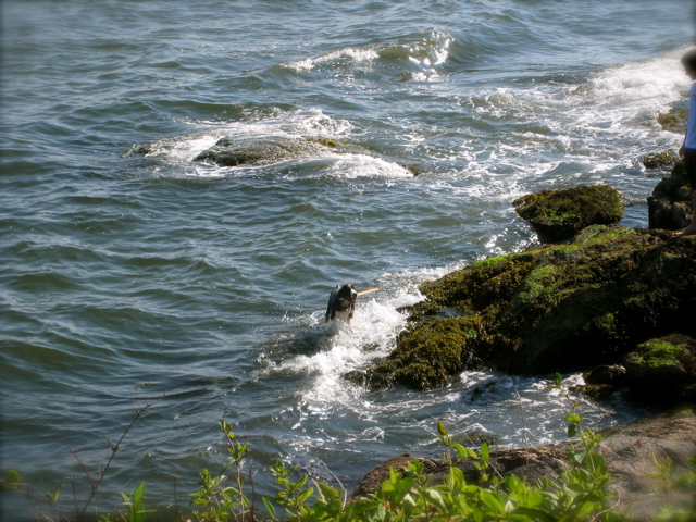 c0120817_11919100.jpg