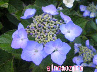 f0013519_10584913.jpg