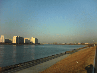 d0047322_03353.gif