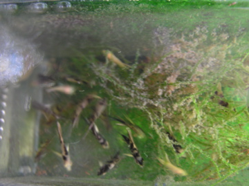 f0128723_23485251.jpg