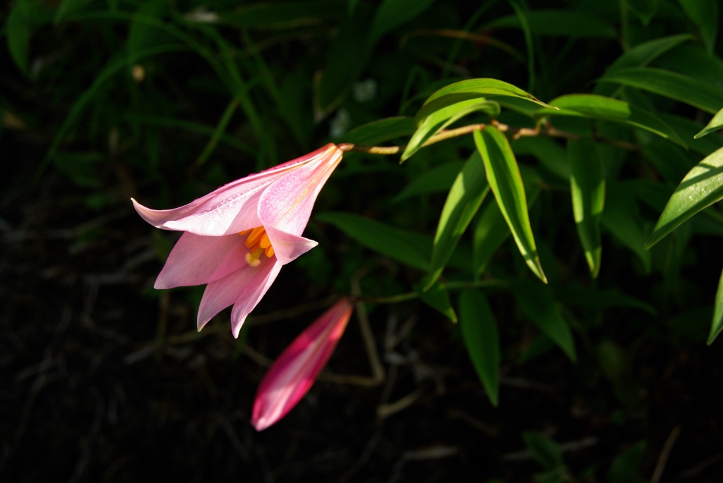b0062024_2210262.jpg