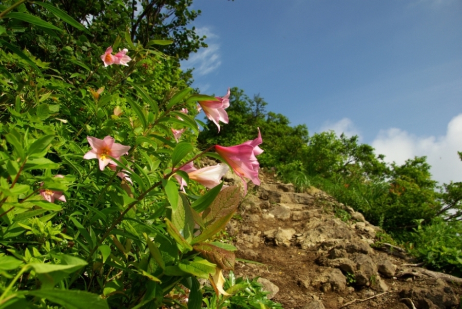 b0062024_22131438.jpg