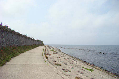 f0007926_19592632.jpg