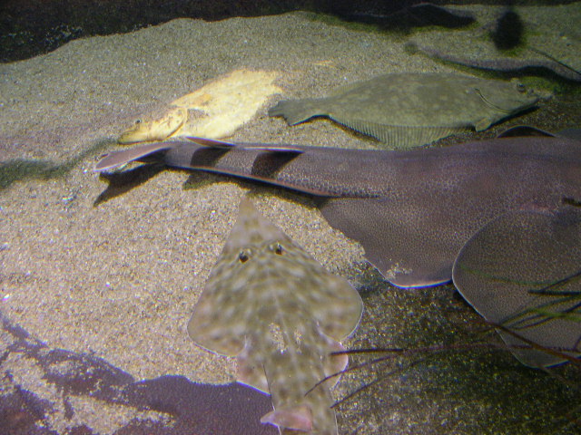 e0089227_19115383.jpg