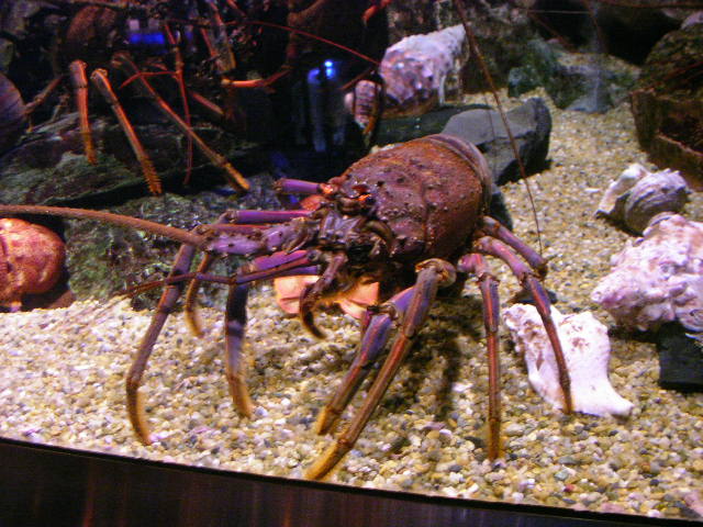 e0089227_1913092.jpg