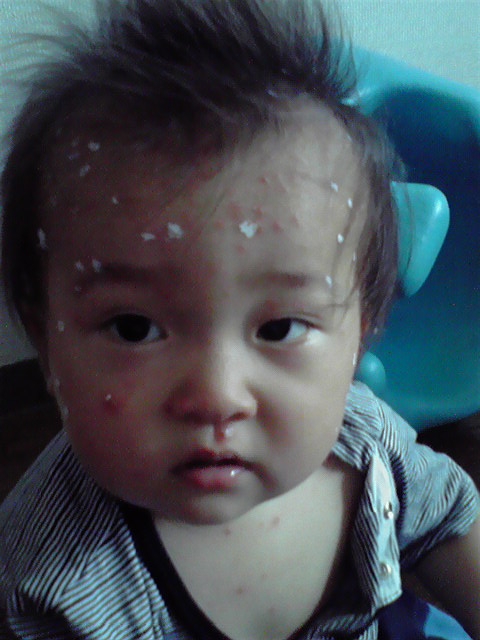 d0064329_1032143.jpg