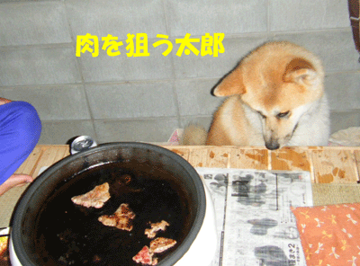 f0008935_12554165.gif