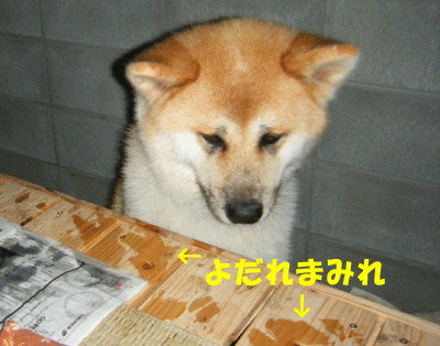 f0008935_12555746.gif