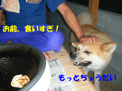 f0008935_12561067.gif