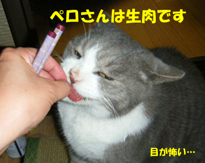 f0008935_12562155.gif