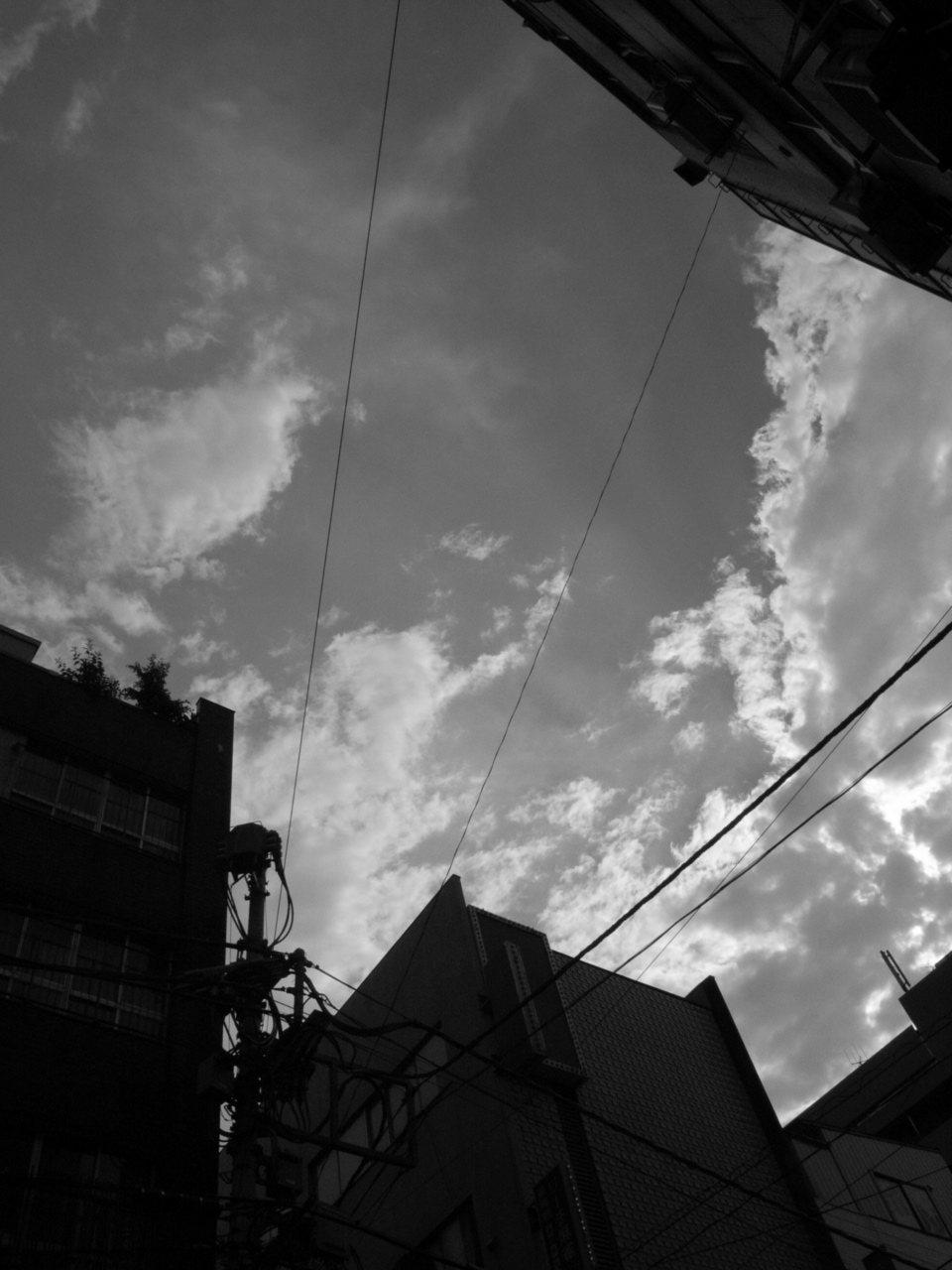 a0087341_23484990.jpg